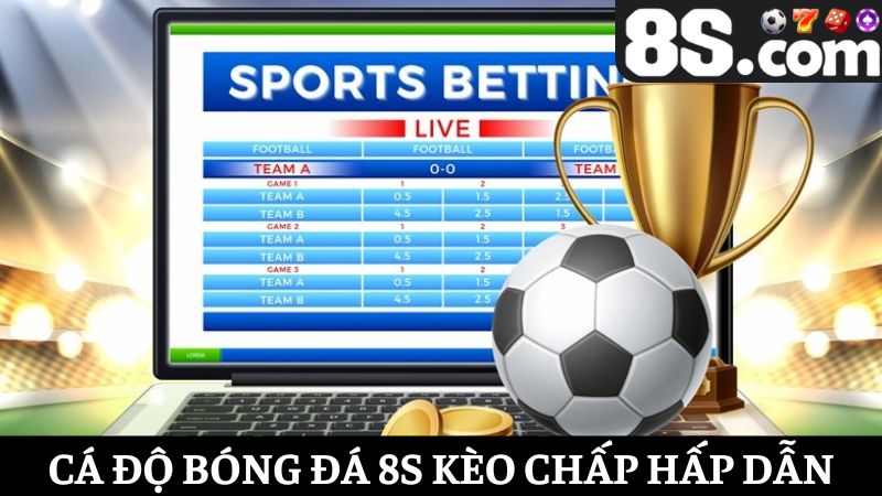 cá độ bóng đá 8S kèo chấp