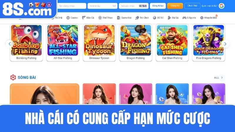Câu hỏi thường gặp về hạn mức cược