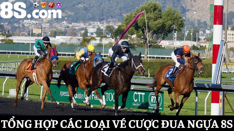 Các loại vé cược đua ngựa 8S