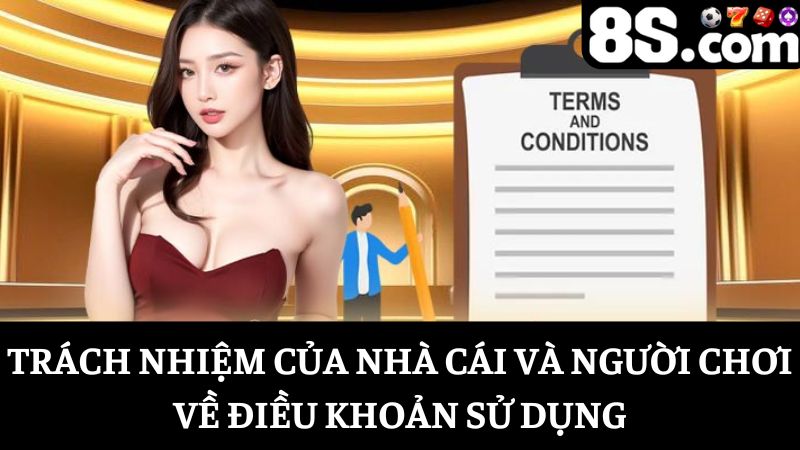 trách nhiệm giữa 8S và người chơi về Điều kiện sử dụng 