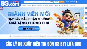 tin đồn 8S bet lừa đảo